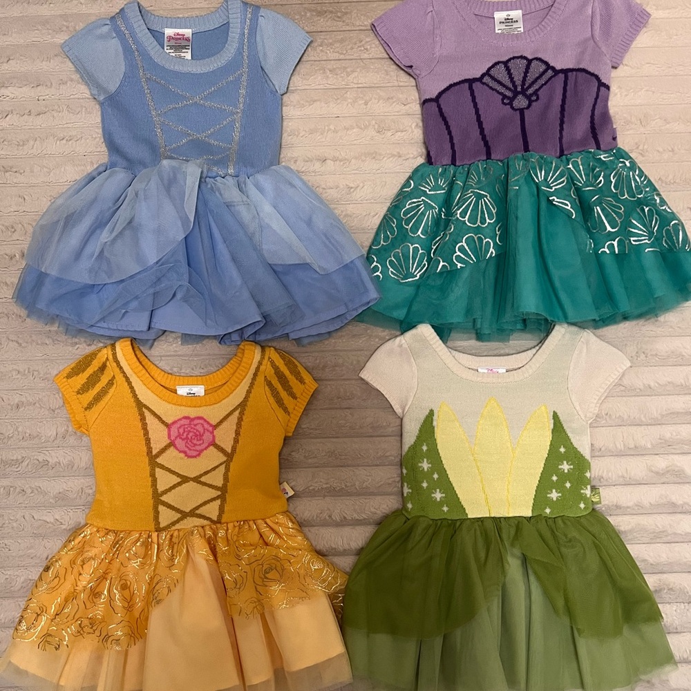 Disney Blue and Purple Dance Dress